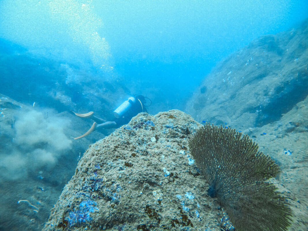 sri lanka scuba diving