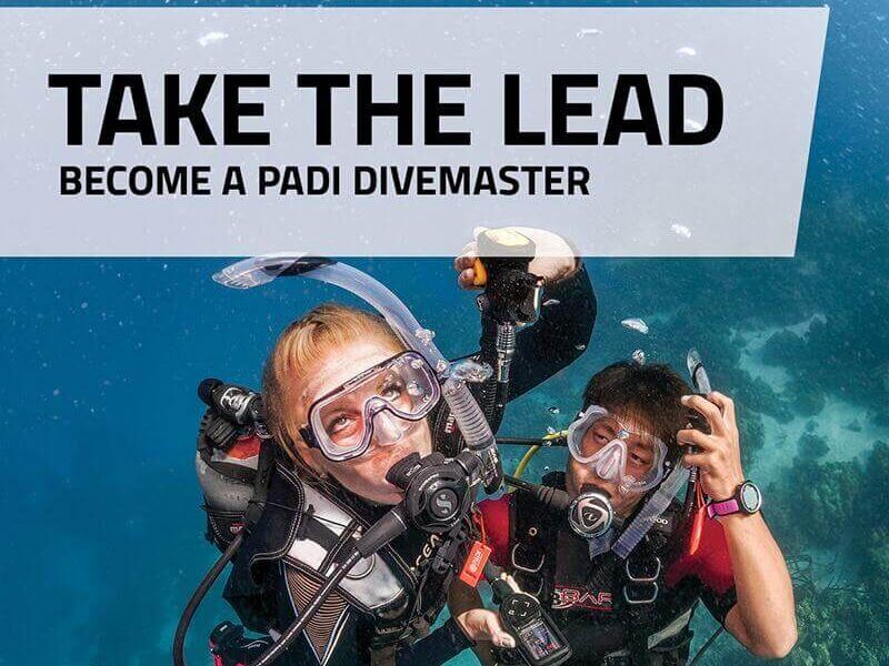 dive-master