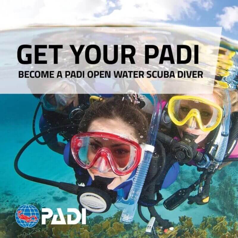 open-water-diver