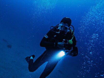 night dive