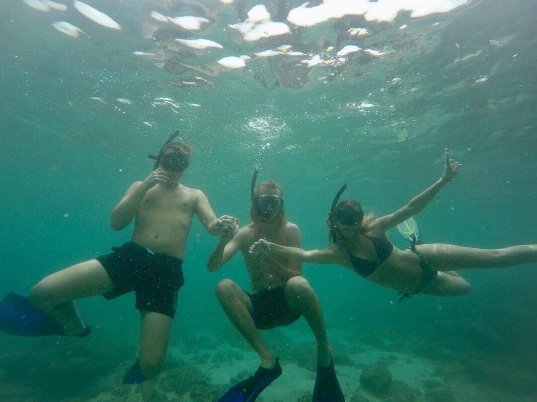 Snorkeling - Rock Island