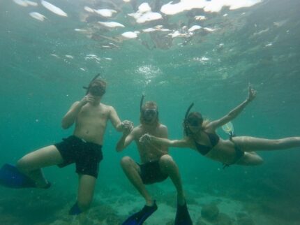 Snorkeling - Rock Island