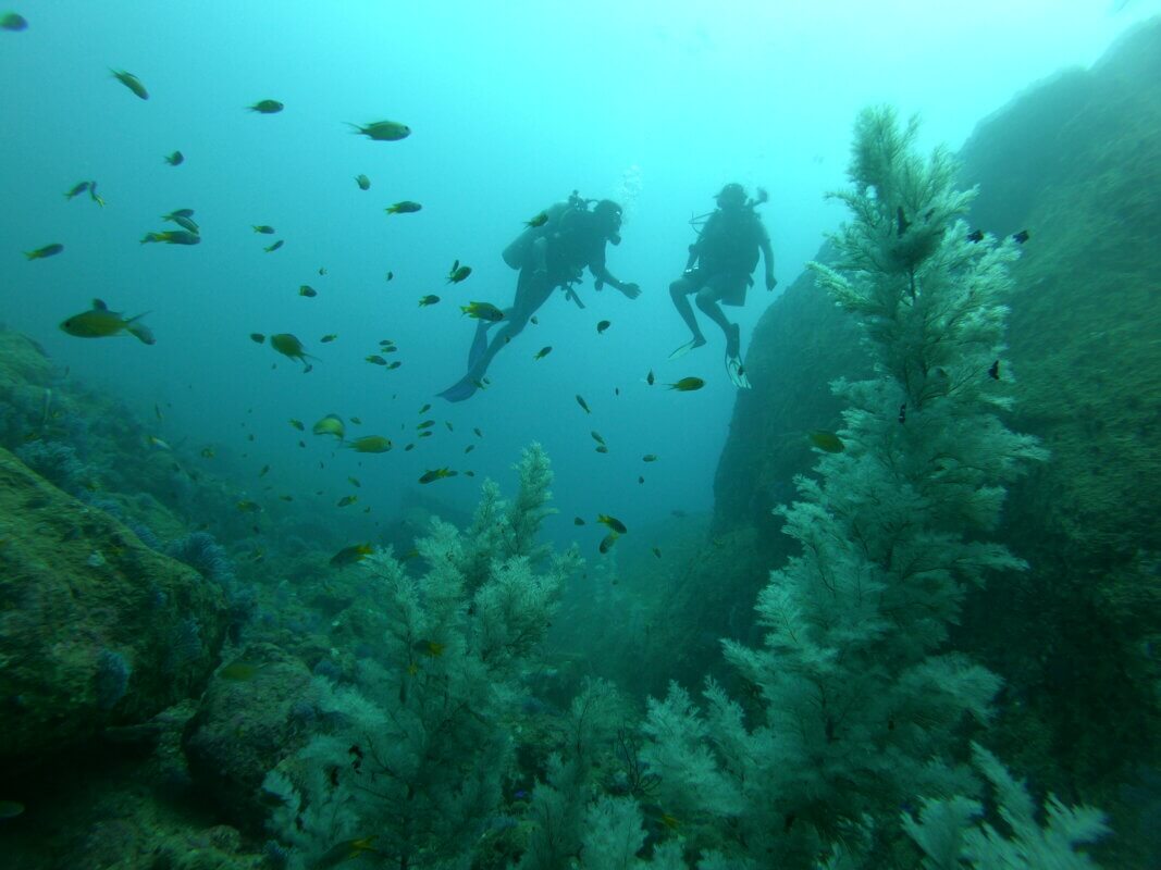 dive sites sri lanka