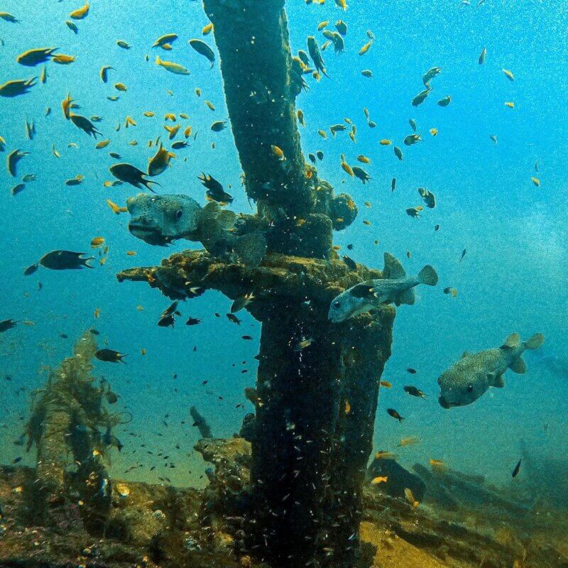 ship wrecks in sri lanka ss rangoon