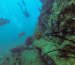 diving in sri lanka